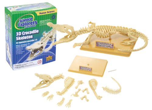 Wild Republic Science Kit Crocodile Skeleton-image