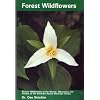 Forest Wildflowers