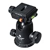Vanguard - SBH-100 - T�te � rotule en alliage de magn�sium - 2 niveaux � bulle