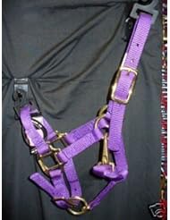 Weaver Leather Miniature Horse Mini Horse Nylon Halter Purple Tack