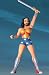 DC Direct: New Frontier Series 1 > Wonder Woman Action Figure