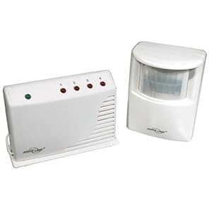 Indoor Outdoor Motion Detector System