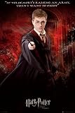 Harry Potter And The Order Of The Phoenix College Poster Print, 24x36