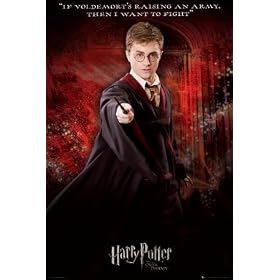 Harry Potter And The Order Of The Phoenix Entertainment Poster Print, 24x36