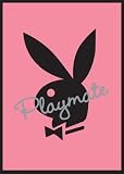 Playboy Logo (Playmate, Pink) Art Poster Print - 24