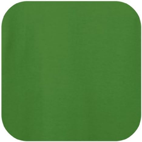 BYOB Bring Your Own Bitches Young Mens T-Shirt Medium Kiwi Green