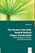 Book The Korean Internally-headed Relative Clause Construction