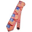 History of American Flags Neck Tie USA Men's Neck Tie