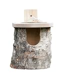 Wildlife World Robin Nest Box