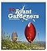 50 Avant Gardeners: Avantgardistische Landschaftsarchitektur und Gartengestaltung