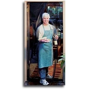 Hands Free Screen door