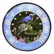Chaney Instrument 01598 Bluebird Thermometer