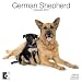 German Shepherds 2010 Wall Calendar AP30463