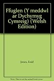 FfugLen : y ddelwedd o Gymru yn y nofel Gymraeg o ddechrau'r chwedegau hyd at 1990