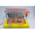 SpongeBob Garnelen Becken - Aquarium
