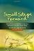 Small Steps Forward: Using Games and Activities to Help Your Pre-school Child With Special Needs