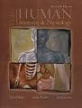Hole's Human Anatomy & Physiology