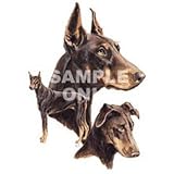 Red Doberman Pinscher Night Light