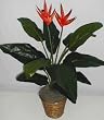 42" Artificial Heliconia Flower Plant