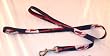Cleveland Indians 6' Long MLB Dog Leash