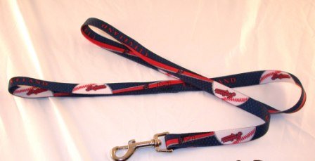 Cleveland Indians 6' Long MLB Dog Leash