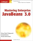 Mastering Enterprise JavaBeans 3.0