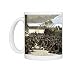 Captive Africans on a slave-ship off Key West Photo Mugs