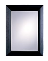 Contemporary Style Cappuccino Frame Wall Mirror