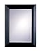 Contemporary Style Cappuccino Frame Wall Mirror