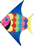Vilac - 2932 - Plein Air - Cerf volant poisson