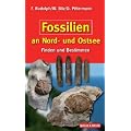 Fossilien an Nord- und Ostsee: Finden und Bestimmen