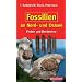 Fossilien an Nord- und Ostsee: Finden und Bestimmen
