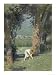 Die Sternthaler, The Child Gathers up the Star Money Fallen from the Sky Children Giclee Poster Print by Paul Hey, 18x24