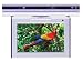 Electronics : AVI 10" Flip Down TV/DVD/DVB-T/CD/Radio