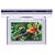AVI 10" Flip Down TV/DVD/DVB-T/CD/Radio