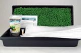 Chia Growing Kit - Hydroponic Chia Microgreens Grow Kit - Grow Chia Micro Greens Indoor or Outdoor - Includes 8 Oz. Chia Seeds