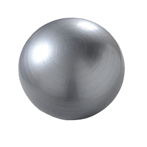 Ladyfavor Extra Thick Anti-Burst Stability Exercise Ball for Yoga, Balance, Workout, Fitness, Gym, Pilates & Physical Therapy with Pump Ladyfavor Extra Thick Anti-Burst Stability Exercise Ball for Yoga, Balance, Workout, Fitness, Gym, Pilates & Physical Therapy with Pump