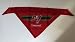 Tampa Bay Buccaneers Pet Dog Jersey Bandana M/L