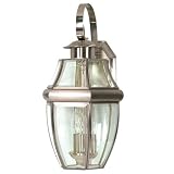 Nuvo Lighting La Cage de verre Large Brushed Nickel Outdoor Wall Mount