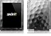 Skinit Antique Golf Vinyl Skin for Apple iPad 2