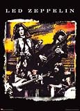Led Zeppelin (Group, Psychedelic, Huge) Music Poster Print - 40" X 55"