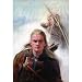 Orlando Bloom Lord of Rings POSTER LOTR Legolas RARE - 11x17