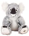 Webkinz Koala Bear