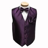 S-8-VBH - PBT- Vest, Pre-Tied Bowtie and Hanky Set - Eggplant - Purple