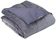 Aeolus Down Microplush Down Alternative Throw, Smoke