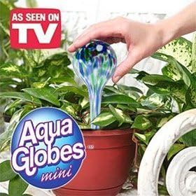 Aqua Globe Mini Aqua Watering System Small Set Of 3