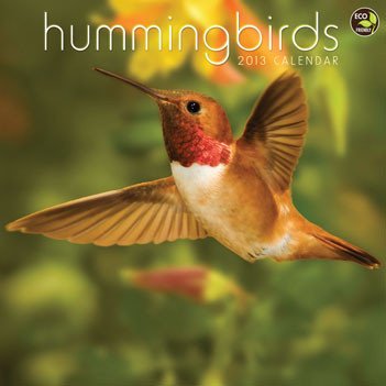 Hummingbird Calendar 41Je Siu3YL Hummingbird Calendar