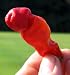Hot Peter Pepper 10 Seeds -Makes Delicious Chili Powder
