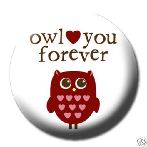 OWL LOVE YOU FOREVER Pinback Button 1.25 Pin / Badge I'll Heart