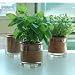 Wet Pot Set for herbs